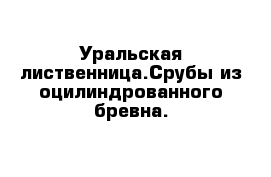 Уральская лиственница.Срубы из оцилиндрованного бревна.